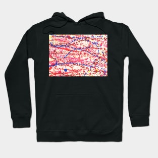 Untitled 38 Hoodie